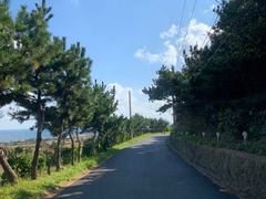-济州森林小火车生态公园
