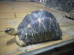 -石家庄市动物园