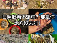 -巧克力渔家.小船海鲜胶东菜(万平口店)