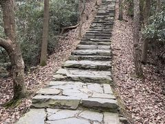 -虎跑公园