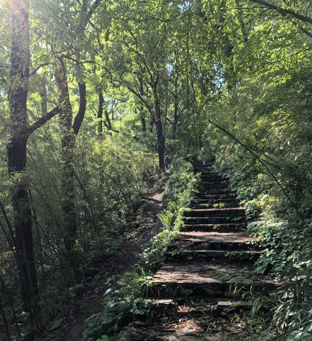 曲径通幽的山间路