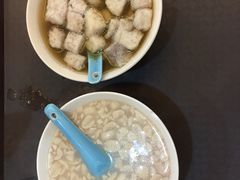 -海丝金凤(金鱼店)