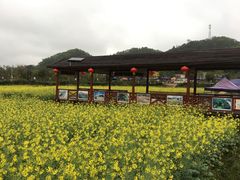 -红山村