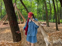 -南戴河国际娱乐中心