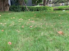 -周正水煮活鱼·吊水鱼(万科店)