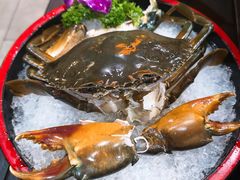 鲜活活蟹-港迹·鲜围煮海鲜火锅(湖州时代广场店)