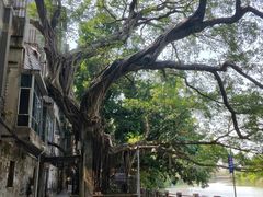 -小洲村