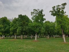 -天鹅湖体育公园