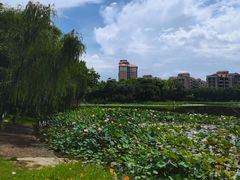 -映月湖公园