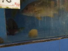 -宋船渔栈(白沙店)