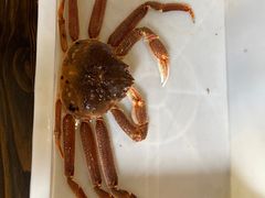 -蟹后Crabber(水悦城店)