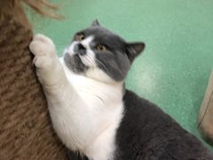 -藦茜花园宠物主题亲子互动体验馆(国顺东路店)