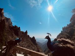 -三清山风景名胜区