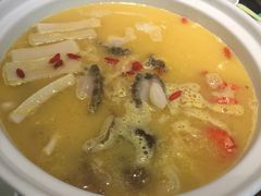 鲍富锅-上关雪東北菜(中房金谊店)