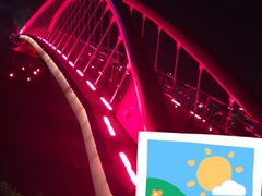 -金鸡山公园