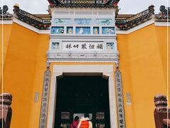 -紫竹林