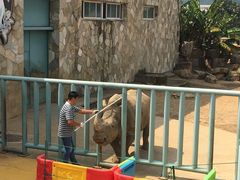 -无锡动物园·太湖欢乐园