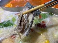 -京门活鱼馆·鱼火锅(百子湾（原红庙）店)