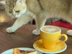 -咖法森林·咖啡  酒吧(天河店)