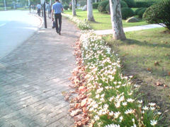 -上海第二工业大学(金海路校区)