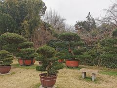 -水绘园