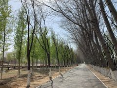 -东郊湿地公园
