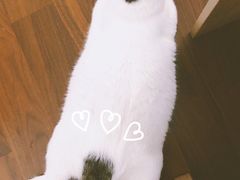 -谐和益家动物医院·免疫绝育·血液透析·宠保定点医院(高新伊藤分院)