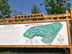 -黑瞎子岛探秘野熊园