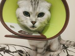 -狗舍宠物医院(四季商业广场店)