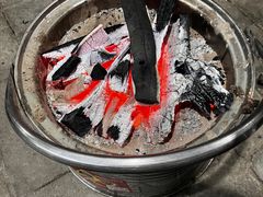 -遇龙河大樟树农家乐