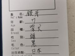 -申普宠物医院·心脏介入·心血管微创(总院)