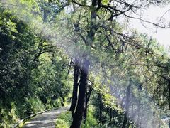 -苍山感通索道