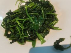 -凤凰湘语(浦东旗舰店)