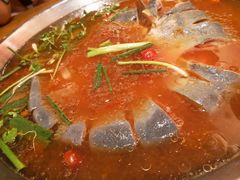 -新凯里酸汤鱼(飞山街店)