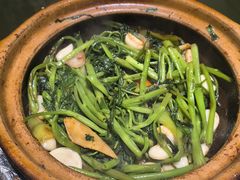 虾酱啫通心菜-煲煲好(朝阳门店)