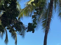 -三亚南山文化旅游区