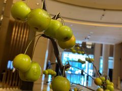 -厦门威斯汀酒店