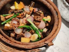 -大榕树下顺德菜(融创茂店)