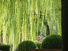 -唐城墙遗址公园