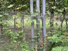 -合肥野生动物园