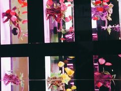 -中环花鸟鱼虫市场