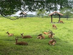 -良渚古城遗址公园