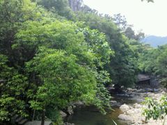 -广州市石门国家森林公园