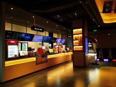 -新影联·华谊兄弟影院(望京店)