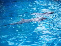 -石林冰雪海洋世界