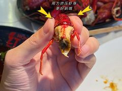 -红盔甲·小龙虾(天钥桥店)