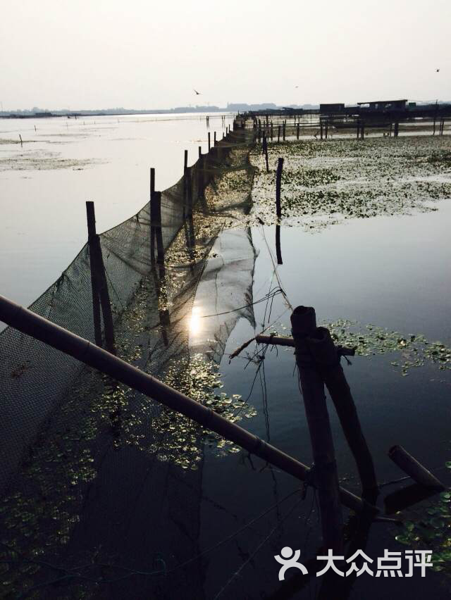 蒋思平115上传的图片