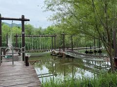 -长兴太湖图影湿地文化园