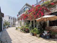 -蓝山四季西餐植物店