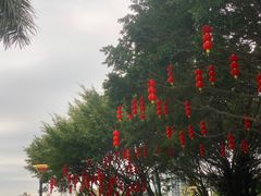 -华侨公园